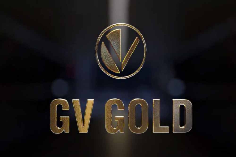 Высочайший пао. GV Gold. Высочайший GV Gold. GV Gold логотип. ПАО высочайший лого.